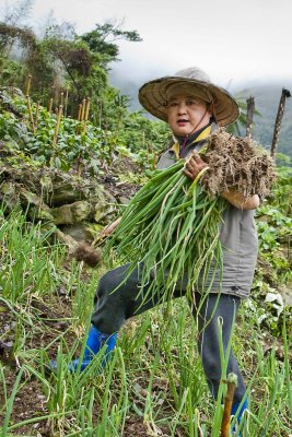 Kitchen Garden in Hualien Mountain