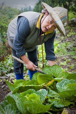 Kitchen Garden in Hualien Mountain