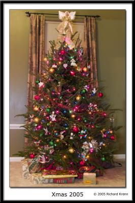 xmastree2005.jpg