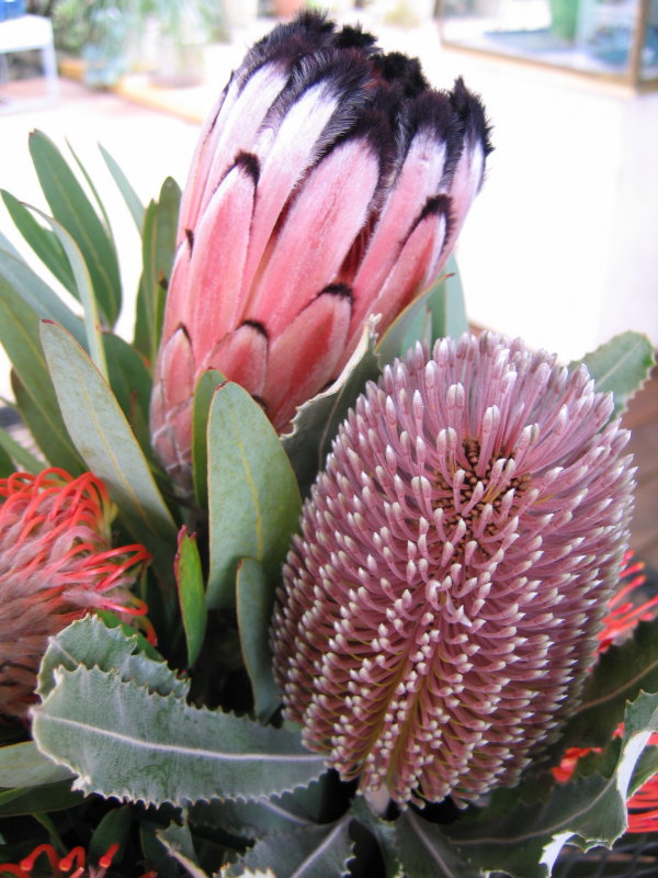 Flower 3