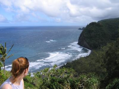 North Kohala coast