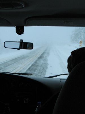 Road to Arctic
