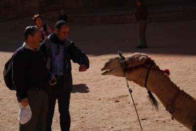 George K is almost bitten by a camel.  He is quick... George, that is...