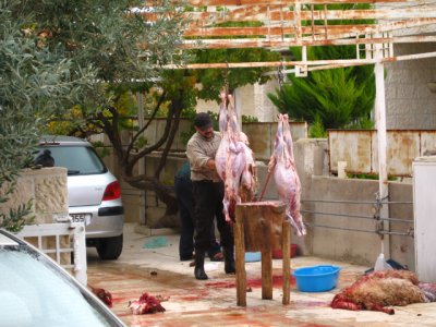 The next morning in Amman, was Friday of the Eid holiday when many celebrate by killing and a eating goat or a sheep.