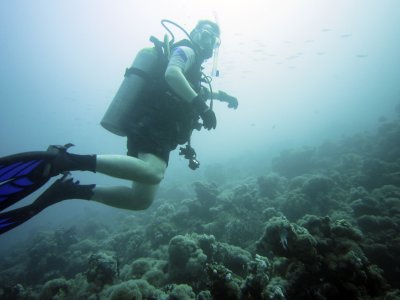 My scuba buddy