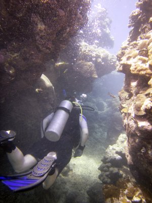 Coral canyons