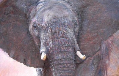 Meru Elephant