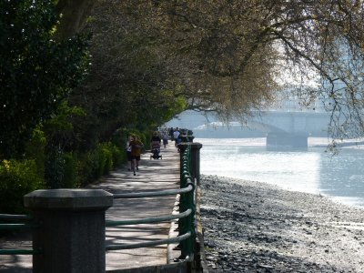 Thames River in London