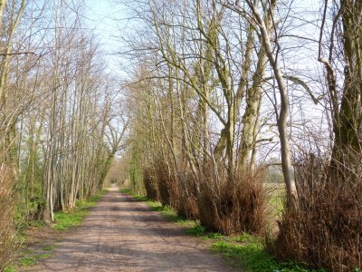 Farm Lane in Kintbury