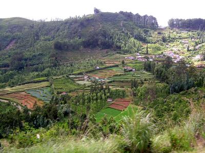 Farmlands on the way up.