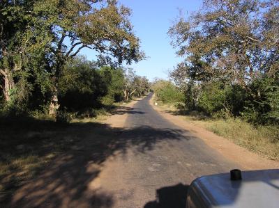 Most of the roads in India are paved.  This is the road going towards the park.