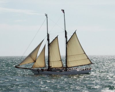 A tall ship off the coast of Natucket, MA