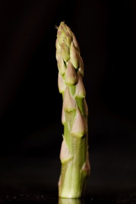Feb 27 - Asparagus