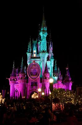 Dec 3 - Cinderella's castle