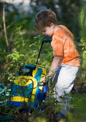 Dec 4 - Thomas in the undergrowth