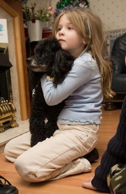 Dec 29 - Sarah wants a dog