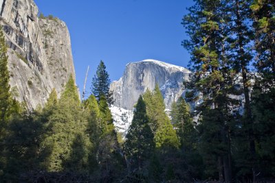 Half Dome from the Ahwahnee