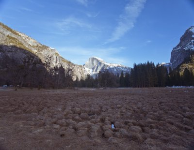 Half Dome, Meadow view