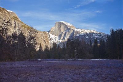 Half Dome, Meadow view 2