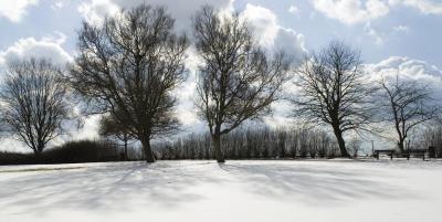 Winterpanorama