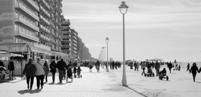 Seafront in Springtime