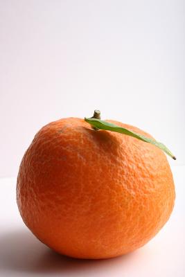 December 12th - Tangerine