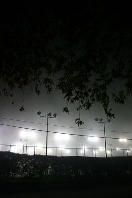 January 6th - Fog On The Courts