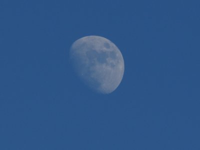 The Moon - 7:42 pm Sunday 23rd May 2010