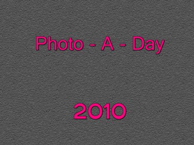 Photo-A-Day 2010