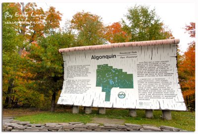 Algonquin provincial park, Ontario