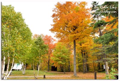 Algonquin provincial park, Ontario