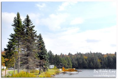 Algonquin provincial park, Ontario