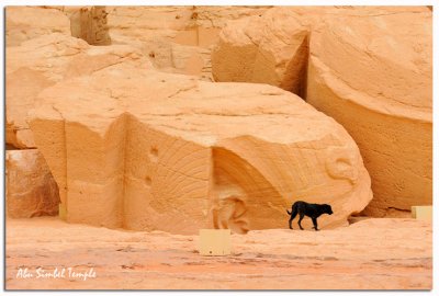 Abu Simbel Temple