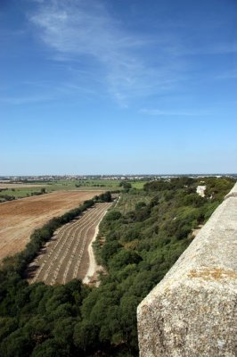 Baux de Provence et Abbaye de Montmajour
