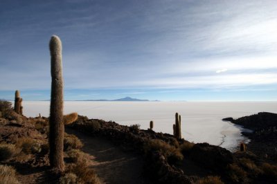 Isla del Pescado, Salar d'Uyuni