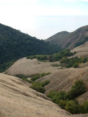 Mill Creek Valley - Nacimiento Rd