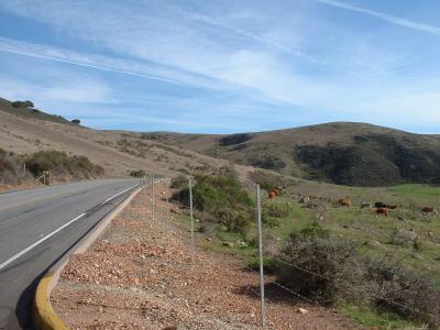 Starting out from work, Diablo Canyon Nuclear Plant