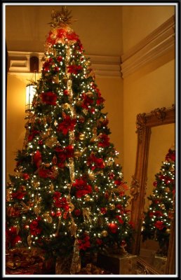 Christmas tree in the lobby