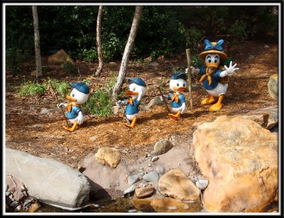 Daisy, Huey, Dewey, and Louie along the way to Camp Minnie Mickey