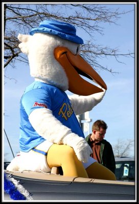 The Pelicans mascot