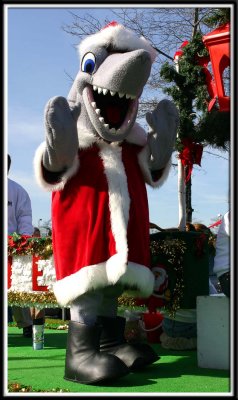 Santa Shark (Come here... I'm gonna eat'cha!!!)