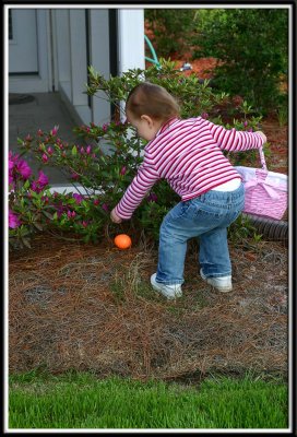 Kylie makes a discovery!