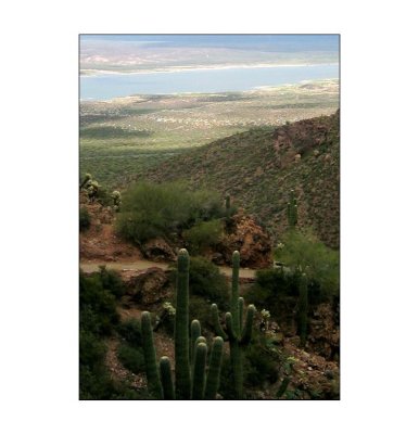 tonto_national_forest