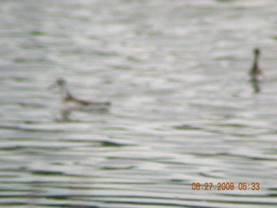 DSCN0485a.jpg