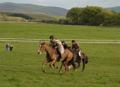 Dsc_008316041.jpg.1.jpg
