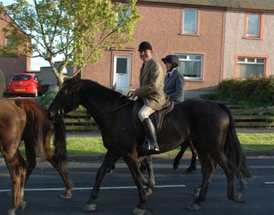 Dsc_027615794.jpg.1.jpg