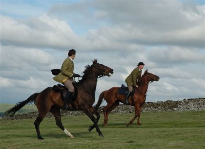 Dsc_004917837.jpg.1.jpg