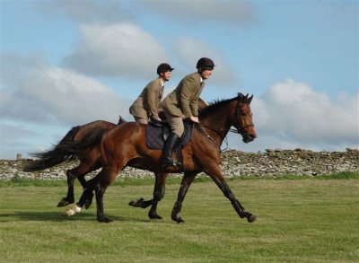Dsc_005217840.jpg.1.jpg
