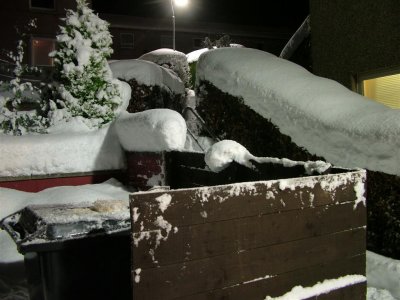 Like Icing Sugar.JPG