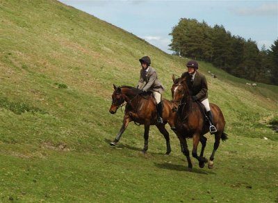 Dsc_0120.jpg.1 Medium.jpg